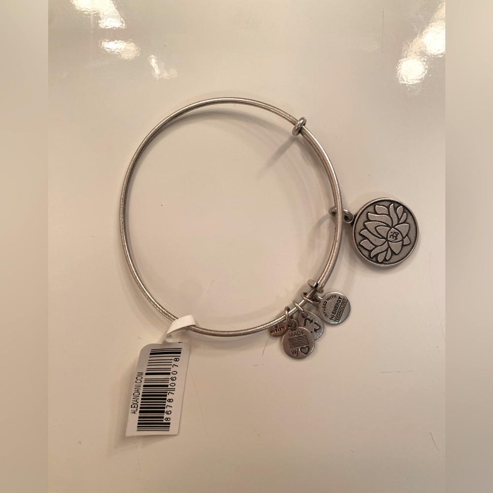 Alex and Ani +Energy Charm Bracelet